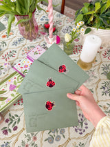 March Mail Single - Ladybugs